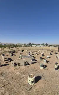 بلیط پینت بال