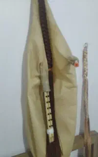 نی انبان