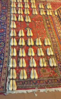 قالب کفش چوبی
