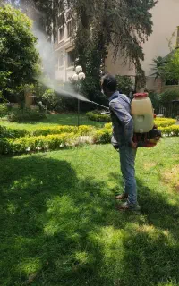 امور باغبانی کودهی هرسکاری چمن زنی تعویض خاک گلدان
