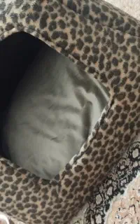 جا خواب گربه که اصلا استفاده نشده