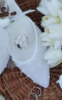 فیلمبردارو عکاس خانم