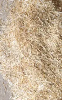 نیازمند یک نیرو نیازمند