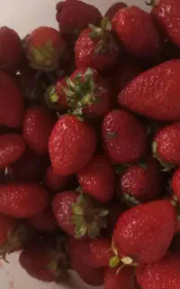 پخش توت فرنگی