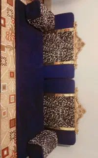 یک دست شانشین در حد نو