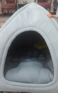 سگ پاکوتاه