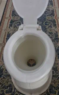 توالت فرنگی