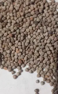 فروش تیم کسن