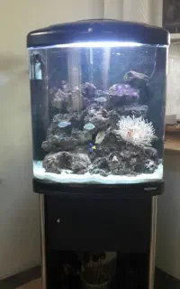 اکواریوم شور و شیرین