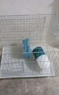 قفس بزرگ
