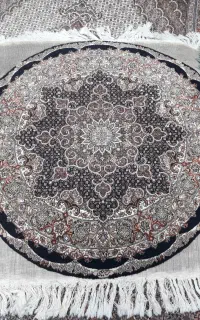دایره ۱در۱