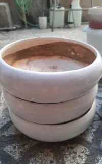 تعدادی گلدان سالم دانه ۷۰