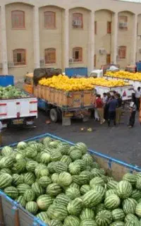 حمل محصولات کشاورزی بهترین قیمت سراسر کشور
