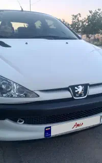 206sD V8