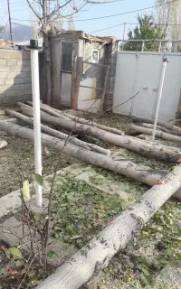 خرید و فروش چوب و درخت نئوپانی