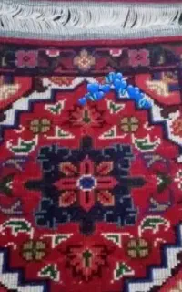 فرش روصندلی