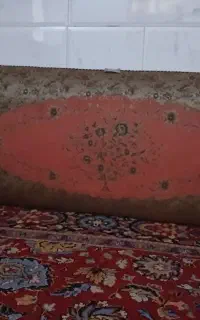 پشتی نو یک در یکو نیم