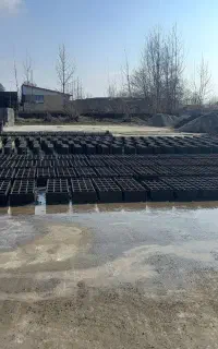 یک بلوک زن حرفه ای ، ۳۵۰۰ تومان