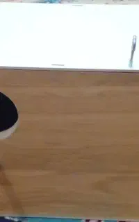 لانه طوطی برزیلی