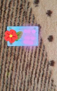 کارت ملی گم شده