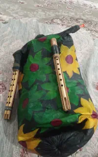 نی انبان،