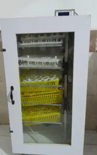 دستگاه جوجه کشی