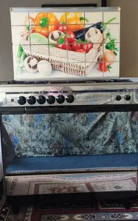 فر گاز عالیستان (کار کرده)