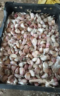 فروش کالا