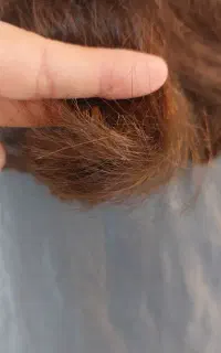 موخوره گیری ب سبک روسی