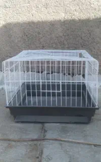 قفس خرگوش