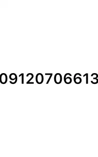 09120706613