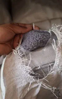 پارچه تدی