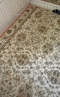 پارک مناسب سگ