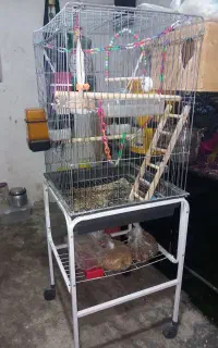 قفس پرنده