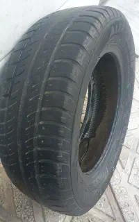 لاستیک تیبا وساینا
