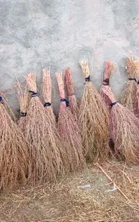 جارو