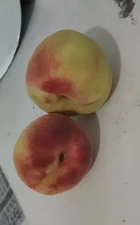 هلو