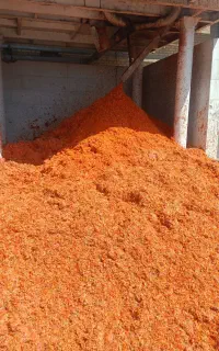 تفاله گوجه