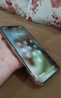 آیفون ۱۲ پرومکس zaa 256