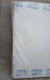 یک عدد تشک  تازه