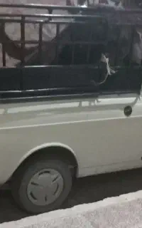 جابجایی با