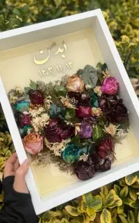 ۱۹مهر روز جهانی دحتر