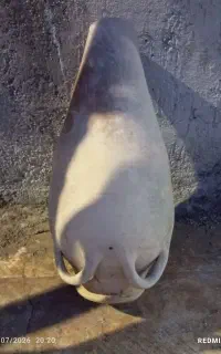 خوم