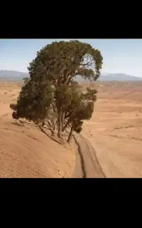 باغبانی.روستاهای اطراف قم.