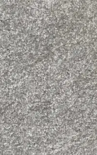 پالاز موکت