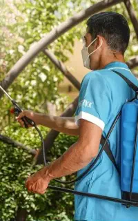 سمپاشی آفت و حشرات