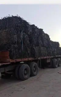 خریدار نوار قطره و انواع ضایعات