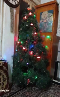 کاج مصنوعی.سالم وباپایه