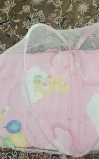 پشه بند
