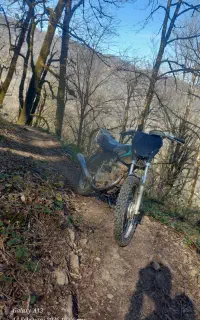 هندا ۱۲۵ مزایده جنگلی